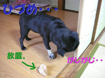 DSCN1231.JPG
