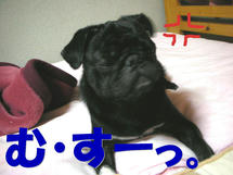 DSCN1394.JPG