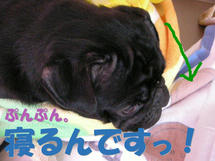 DSCN1466.JPG