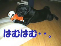DSCN1493.JPG