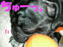 DSCN1492.JPG