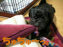 DSCN1496.JPG