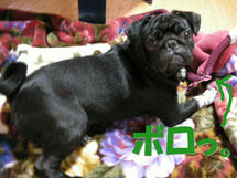 DSCN1494.JPG