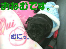 DSCN1671.JPG