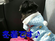 DSCN1656.JPG