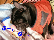DSCN2068.JPG