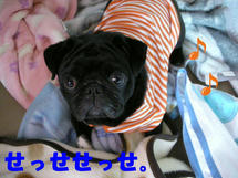 DSCN2084.JPG