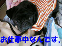 DSCN2085.JPG
