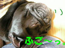 DSCN2120.JPG