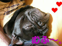 DSCN2122.JPG