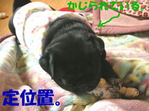 DSCN2142.JPG