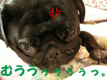 DSCN2144.JPG
