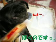 DSCN2168.JPG