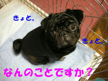 DSCN2171.JPG