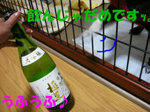 DSCN2183.JPG