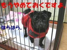 DSCN2184.JPG