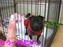 DSCN2185.JPG