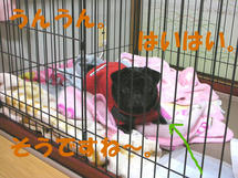 DSCN2195.JPG