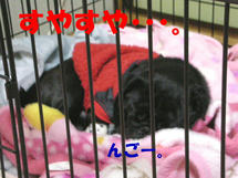 DSCN2197.JPG