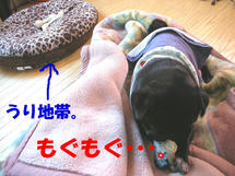 DSCN2200.JPG