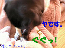 DSCN2205.JPG