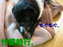 DSCN2206.JPG