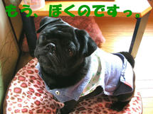 DSCN2209.JPG