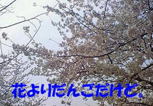 NEC_0125.jpg