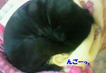 200804091345000.jpg