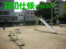 DSCN2270.JPG