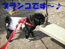 DSCN2272.JPG