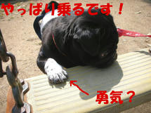 DSCN2274.JPG