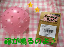 DSCN2281.JPG