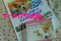 200804261015000.jpg
