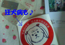 200804261016000.jpg