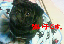 200804261036000.jpg