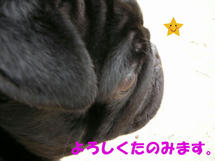 DSCN2319.JPG
