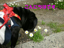 DSCN2316.JPG
