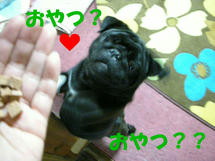 DSCN2323.JPG
