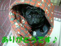 DSCN2336.JPG