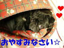 DSCN2345.JPG