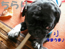 DSCN2394.JPG