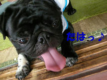 DSCN2404.JPG