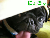 DSCN2405.JPG