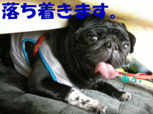 DSCN2406.JPG