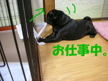 DSCN2445.JPG