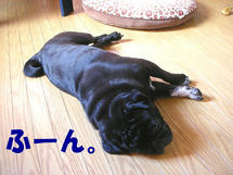 DSCN2450.JPG