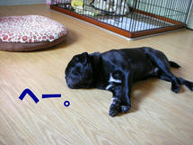 DSCN2454.JPG