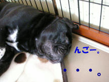 DSCN2449.JPG