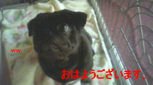 200809270909000.jpg
